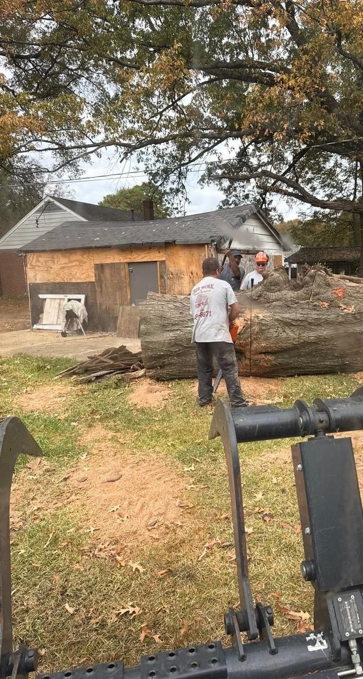 Aaron&rsquo;s Tree Service crew at work