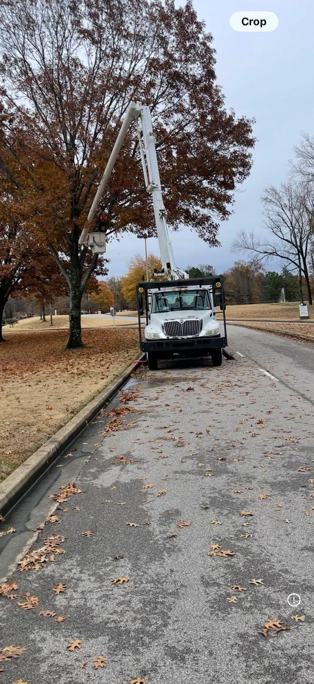 Aaron's Tree Service working near a military installation