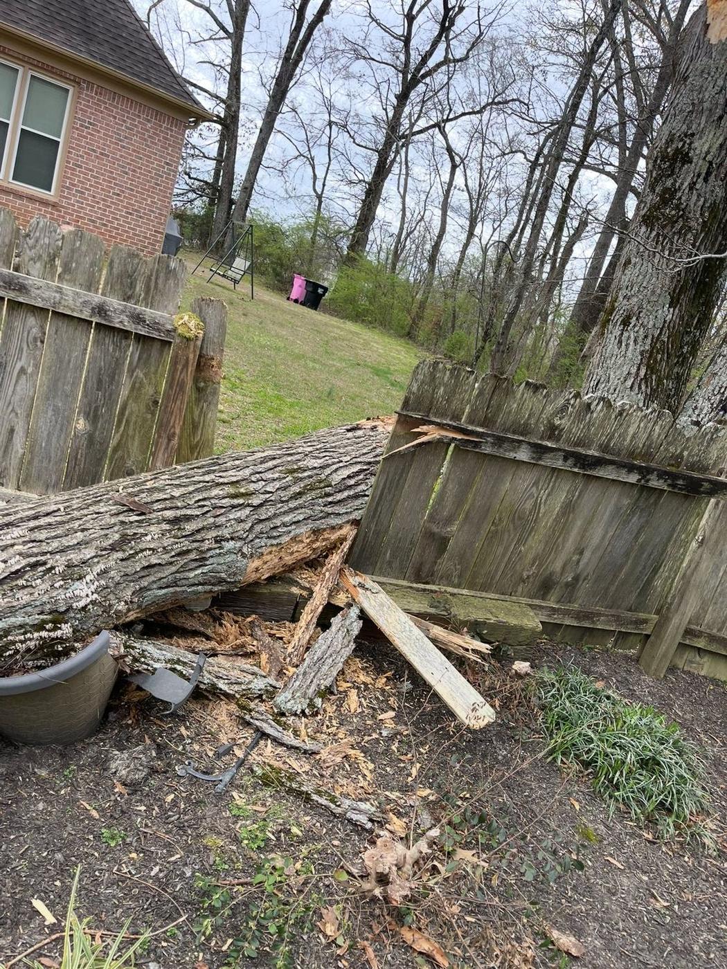 Hardwood down across a fence line — Aaron&rsquo;s Tree Service, Mid-South