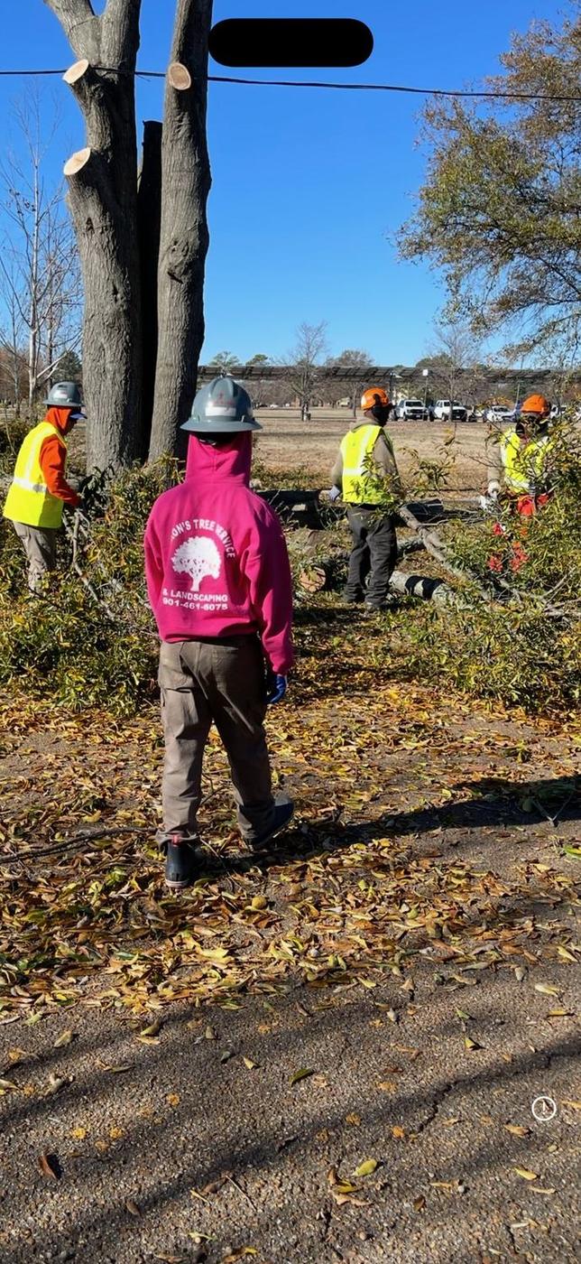 Aaron&rsquo;s Tree Service crew at work