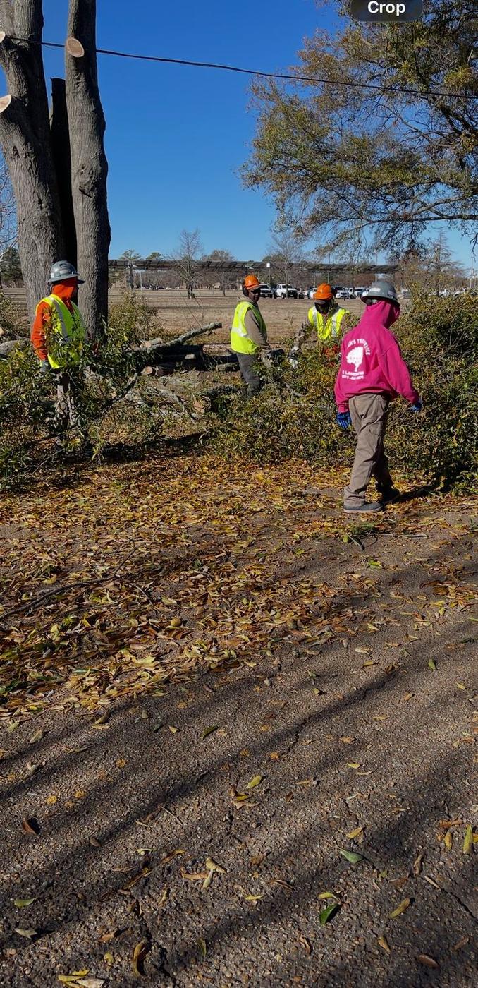 Aaron&rsquo;s Tree Service crew at work