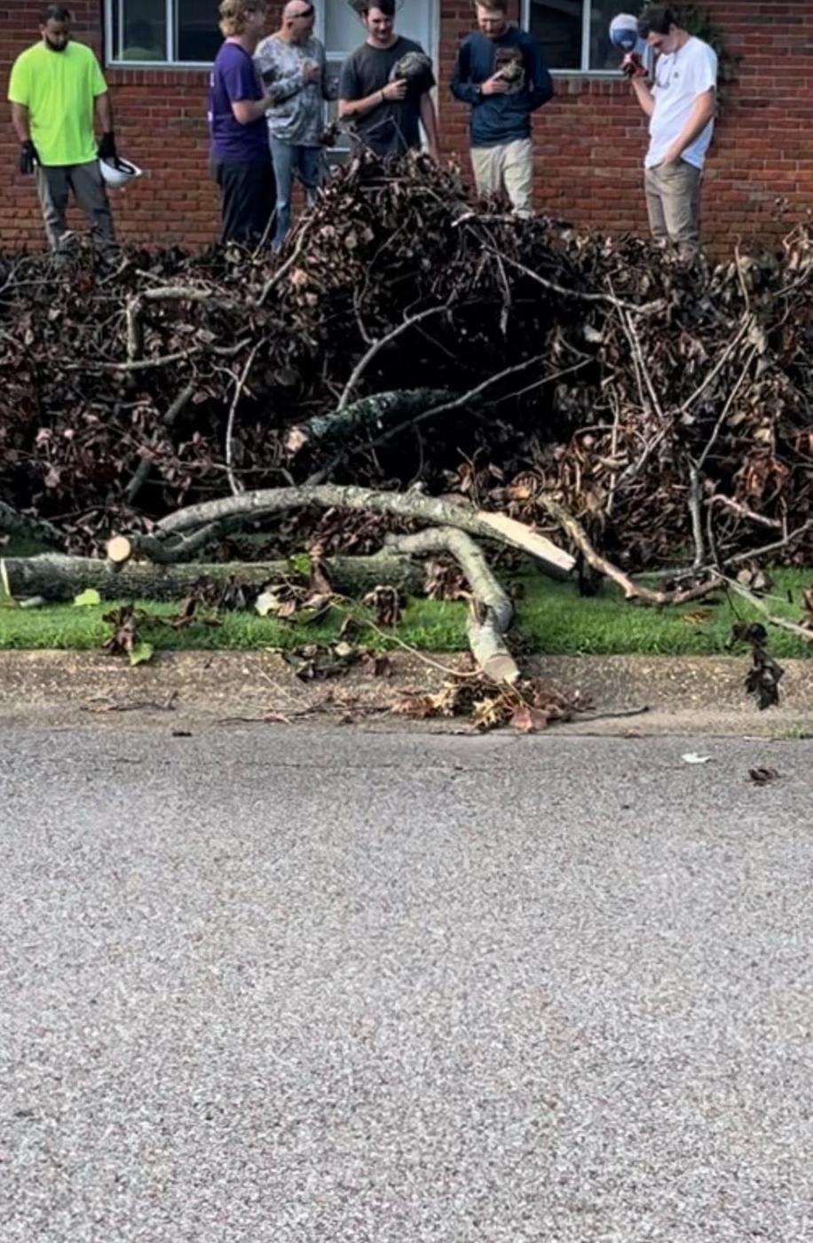 Brush staged street-side for collection — Aaron&rsquo;s Tree Service, Mid-South