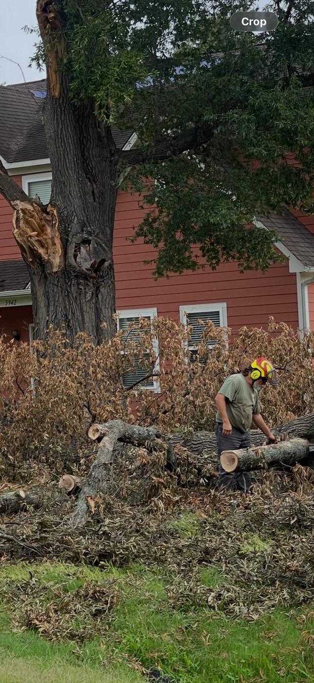 Aaron&rsquo;s Tree Service crew at work