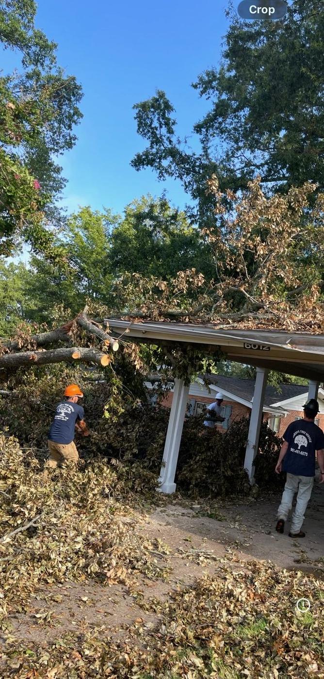 Tree down across a carport — Aaron&rsquo;s Tree Service, Mid-South