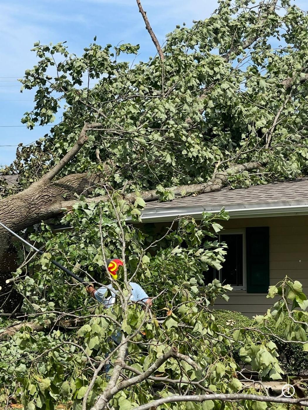 Climber in the canopy over a roof — Aaron&rsquo;s Tree Service, Mid-South