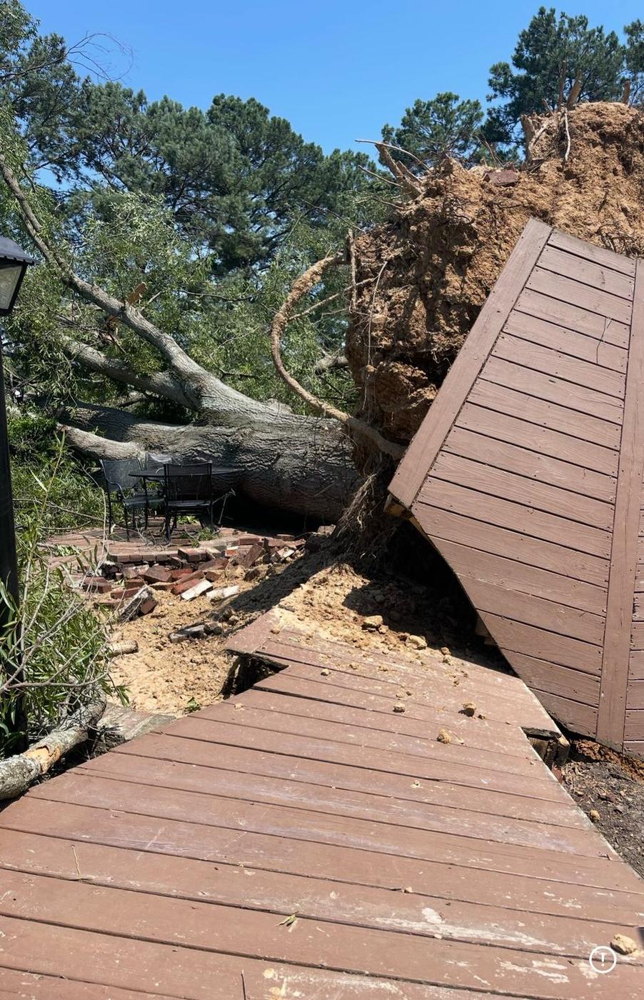 Trunk through a deck — Aaron&rsquo;s Tree Service, Mid-South
