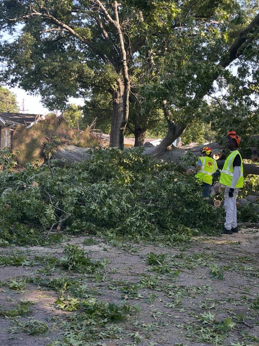 Aaron&rsquo;s Tree Service crew at work