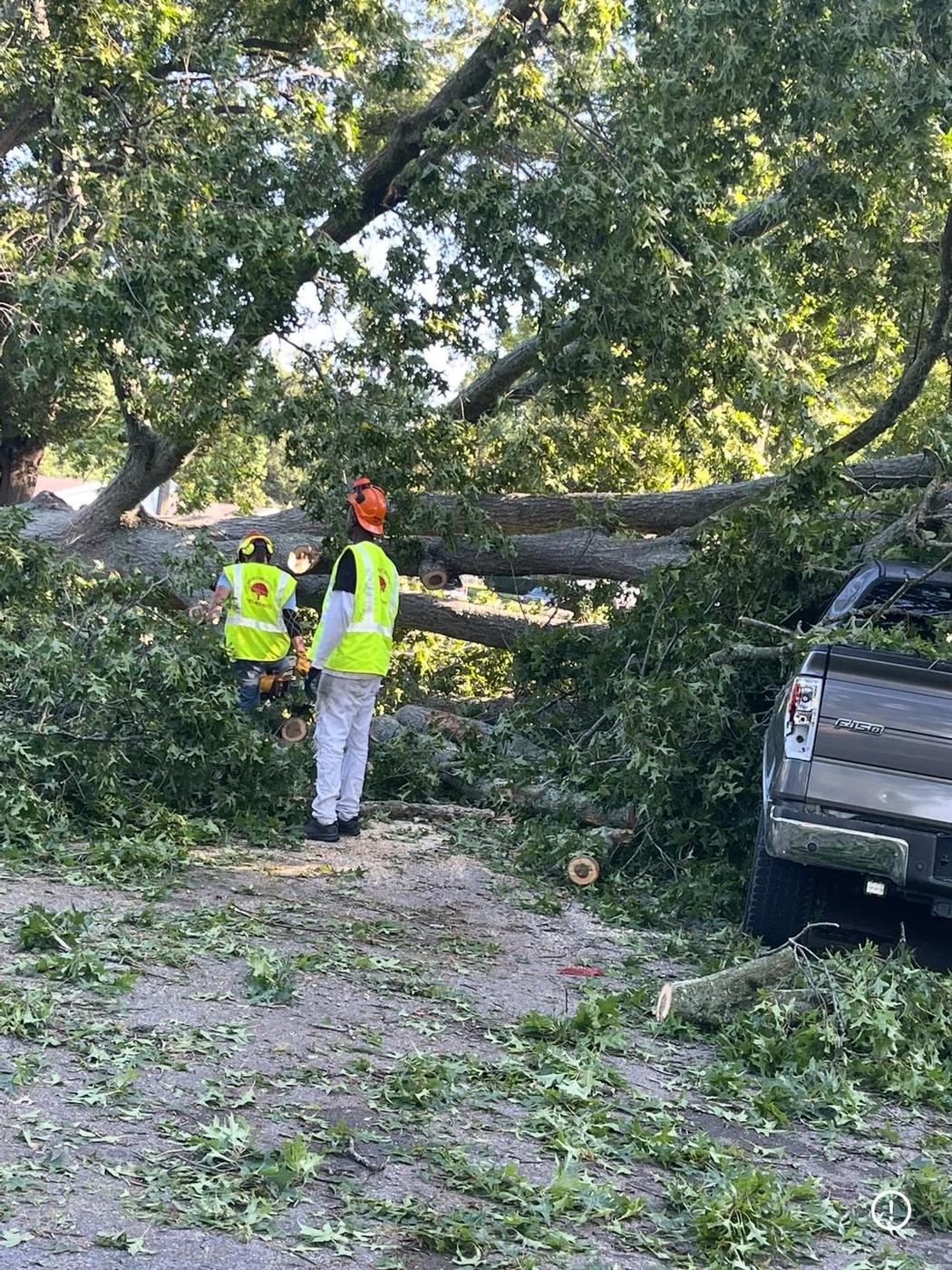 Storm work beside a damaged vehicle — Aaron&rsquo;s Tree Service, Mid-South