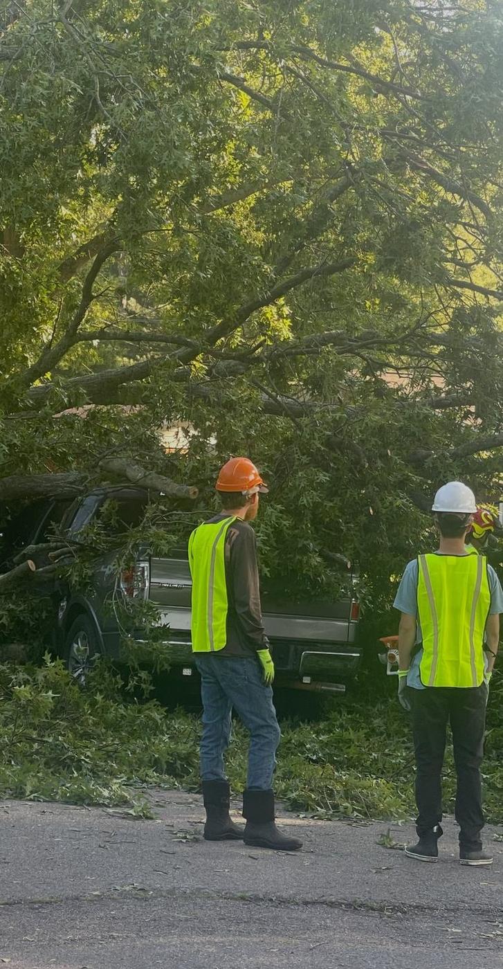 Aaron&rsquo;s Tree Service crew at work
