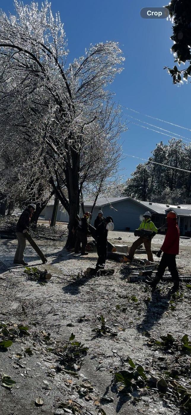 Aaron&rsquo;s Tree Service crew at work