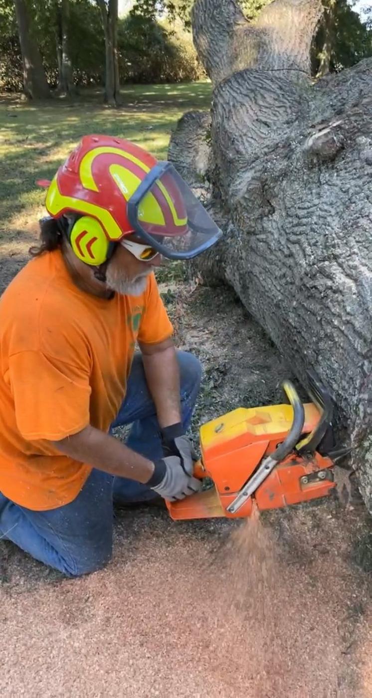 Aaron&rsquo;s Tree Service crew at work