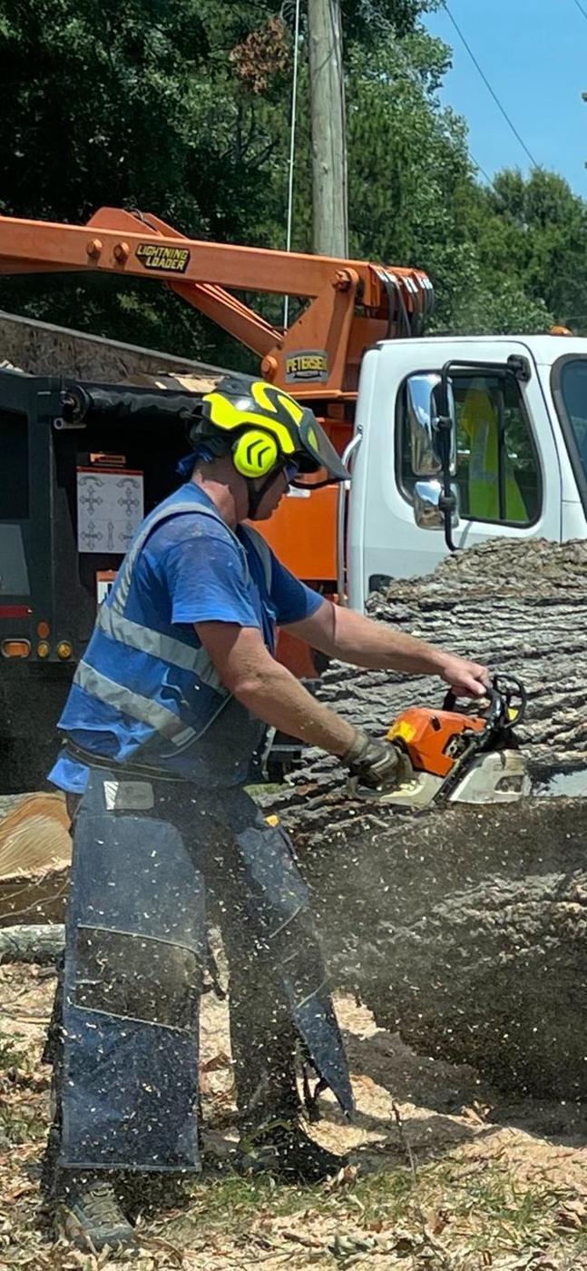 Aaron&rsquo;s Tree Service crew at work