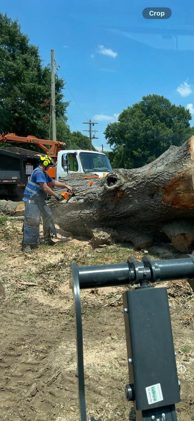 Aaron&rsquo;s Tree Service crew at work