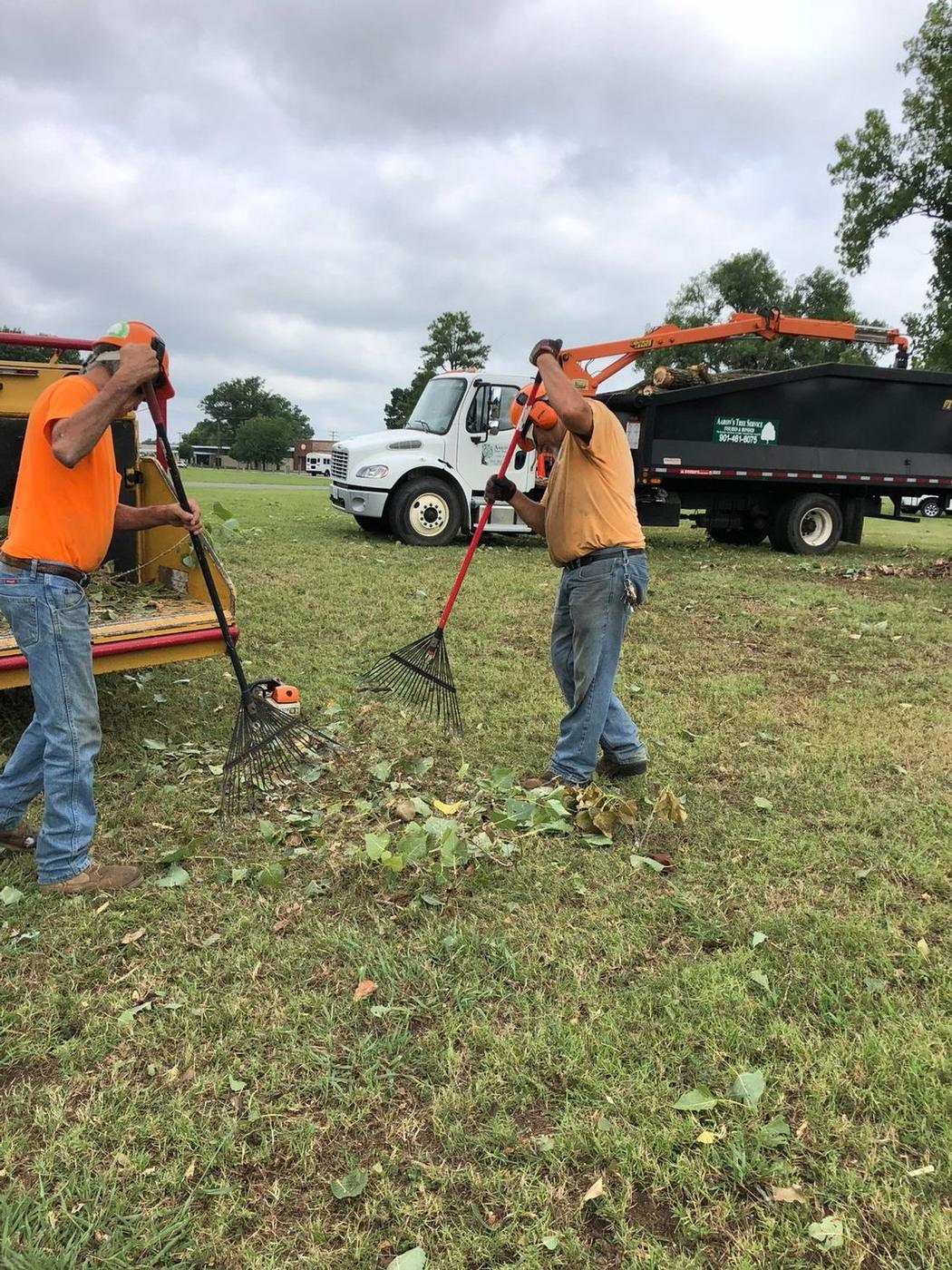 Aaron&rsquo;s Tree Service crew at work