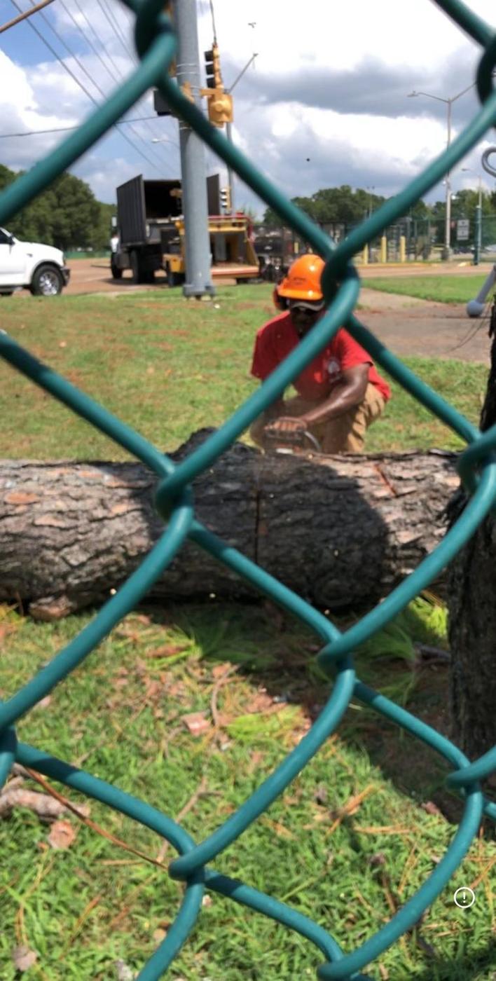 Rounds stacked at the fence line — Aaron&rsquo;s Tree Service, Mid-South