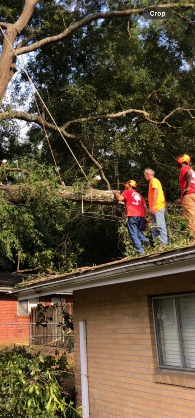 Aaron&rsquo;s Tree Service crew at work