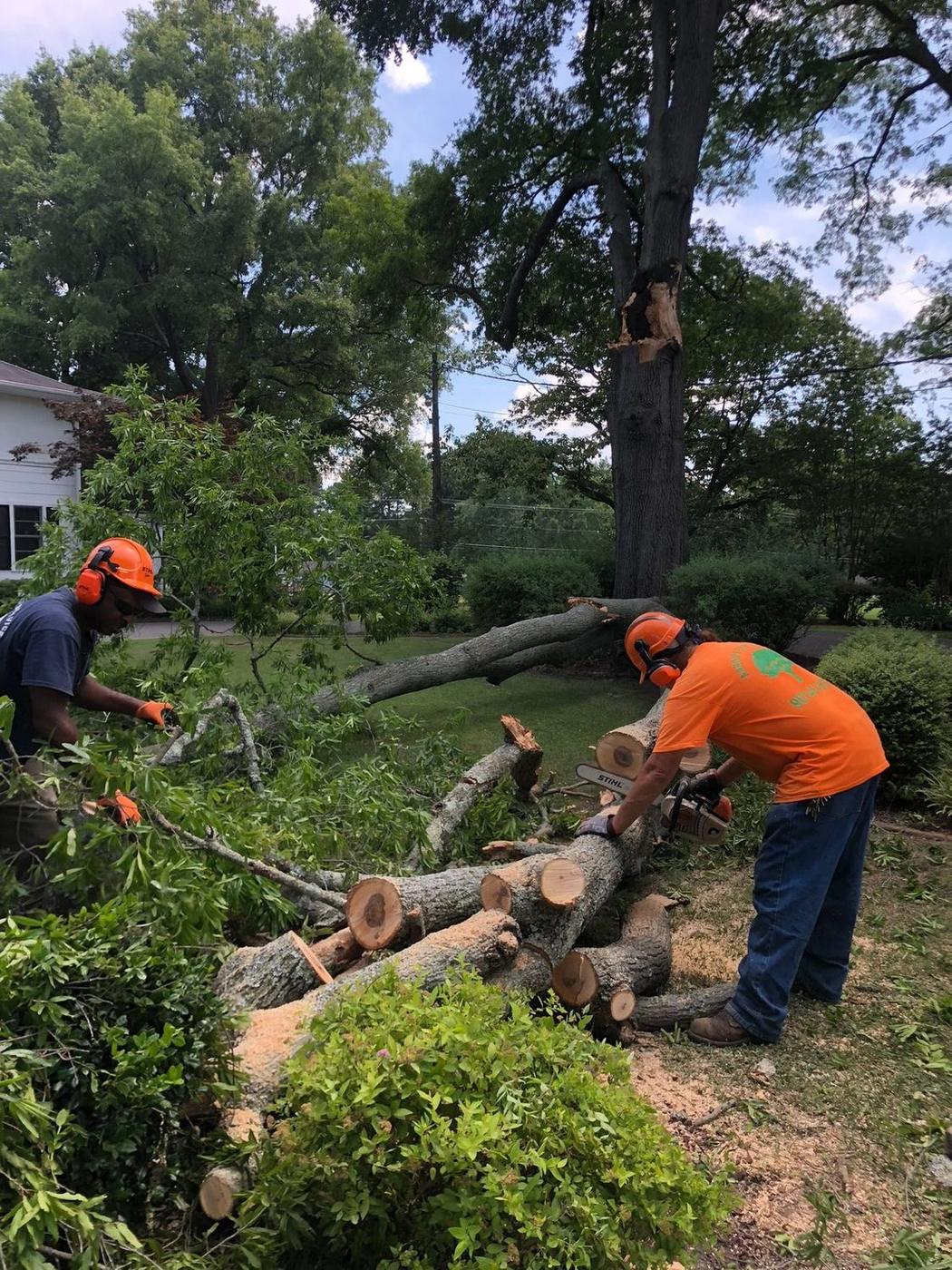 Cutting up a downed limb — Aaron&rsquo;s Tree Service, Mid-South