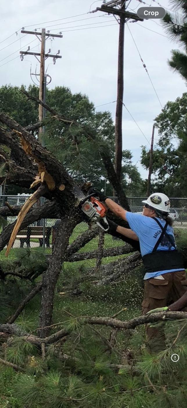 Aaron&rsquo;s Tree Service crew at work