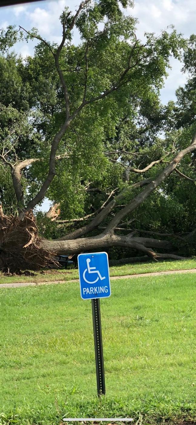 Uprooted tree across a lawn — Aaron&rsquo;s Tree Service, Mid-South